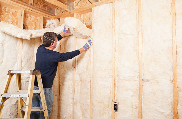 Best Insulation Air Sealing  in Mabank, TX