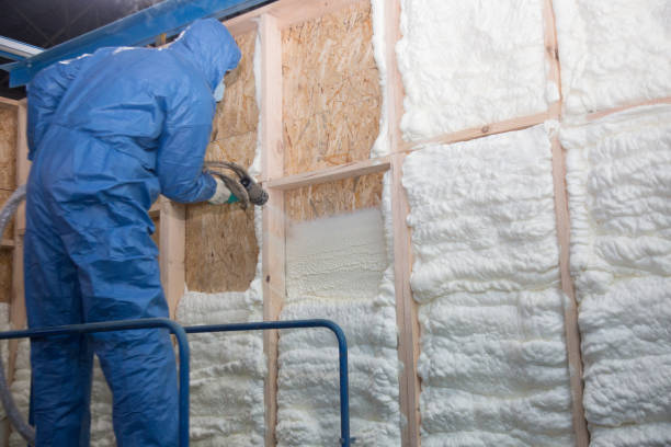 Best Insulation for Existing Homes  in Mabank, TX